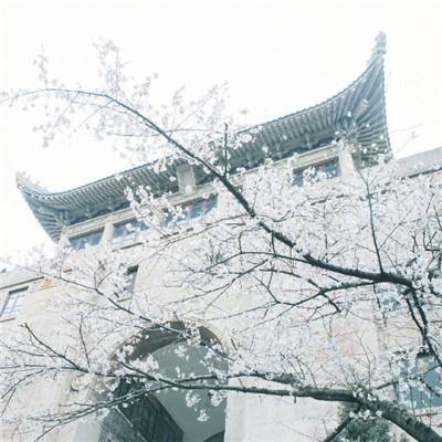 墨三国手游测试版下载