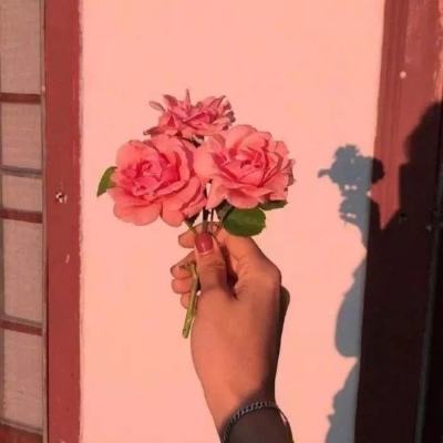 玩具人生完整版