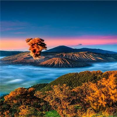 十里桃花手游官方下载